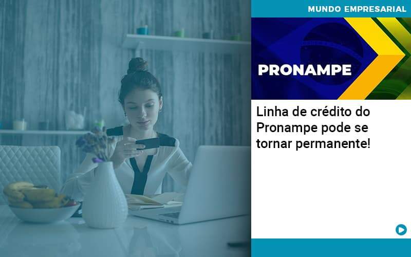 Linha De Credito Do Pronampe Pode Se Tornar Permanente - Tononi Contabilidade | Contabilidade no Espírito Santo