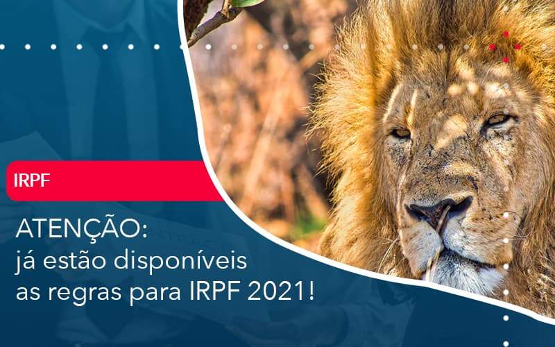 Ja Estao Disponiveis As Regras Para Irpf 2021 - Tononi Contabilidade | Contabilidade no Espírito Santo