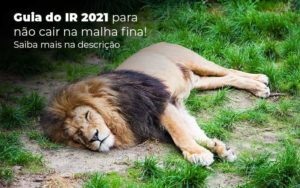 Guia Ir 2021 Para Nao Cair Na Malha Fina Saiba Mais Na Descricao Post 1 - Tononi Contabilidade | Contabilidade no Espírito Santo