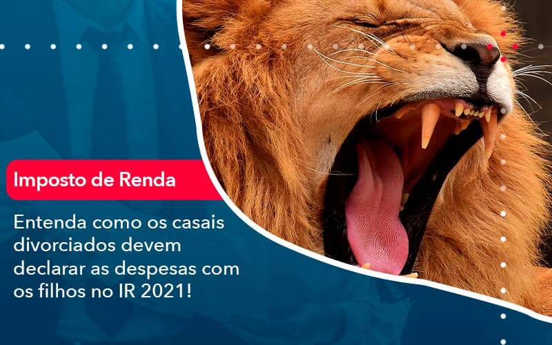 Entenda Como Os Casais Divorciados Devem Declarar As Despesas Com Os Filhos No Ir 2021 1 - Tononi Contabilidade | Contabilidade no Espírito Santo