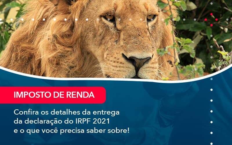 Confira Os Detalhes Da Entrega Da Declaracao Do Irpf 2021 E O Que Voce Precisa Saber Sobre 1 - Tononi Contabilidade | Contabilidade no Espírito Santo