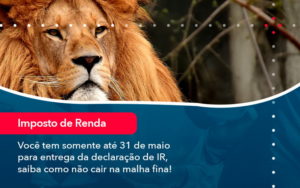 Voce Tem Somente Ate 31 De Maio Para Entrega Da Declaracao De Ir Saiba Como Nao Cair Na Malha Fina 1 - Tononi Contabilidade | Contabilidade no Espírito Santo