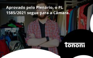 Aprovado Pleno Plenario O Pl 15852021 Segue Para A Camara Tononi - Tononi Contabilidade | Contabilidade no Espírito Santo